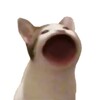 视频播放